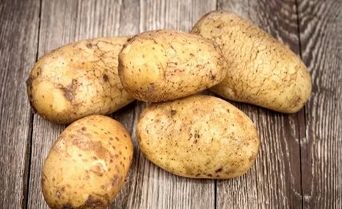 تصویر 4 از خرید و قیمت سیب زمینی زعفرانی + فروش عمده